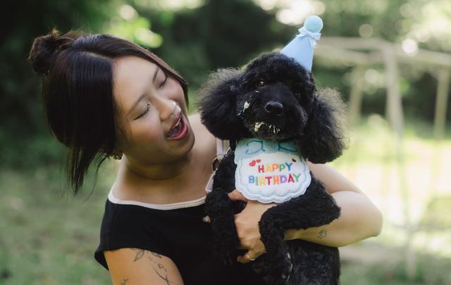 Birthday dog