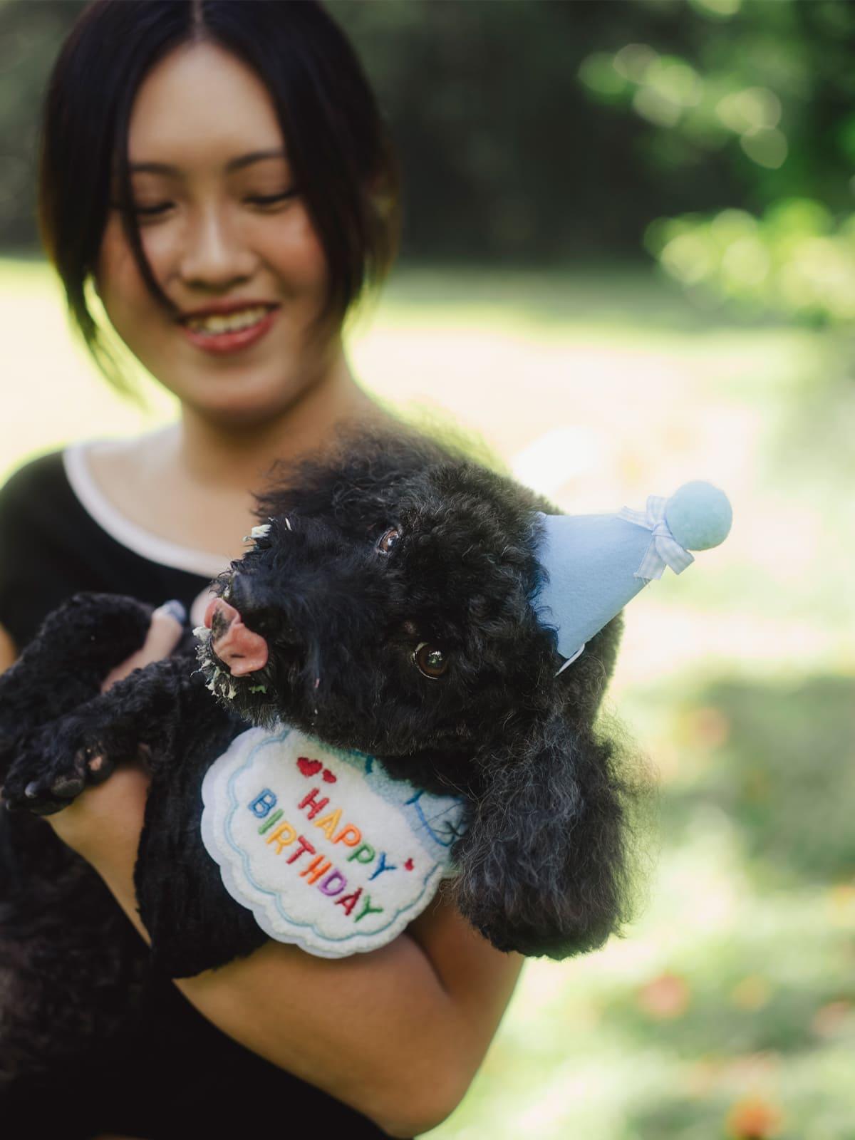 Pet photography session