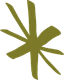 Olive Star